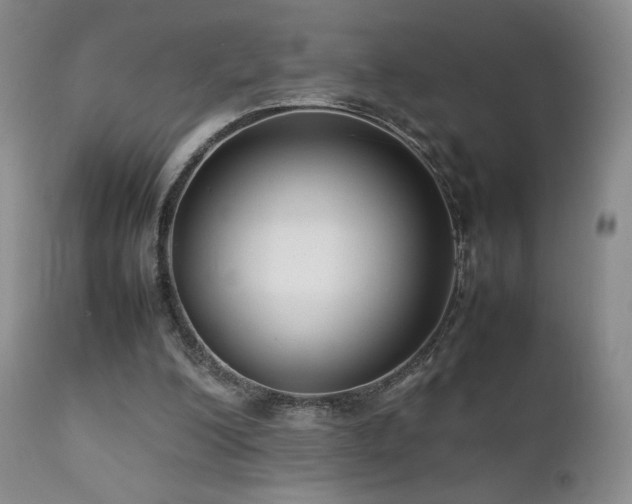 X0000111920200200907271257
