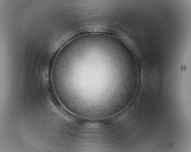 X0000111920202200907271257