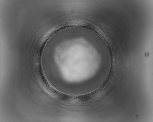 X0000111920203200907271257