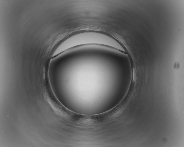 X0000111920205200907271257
