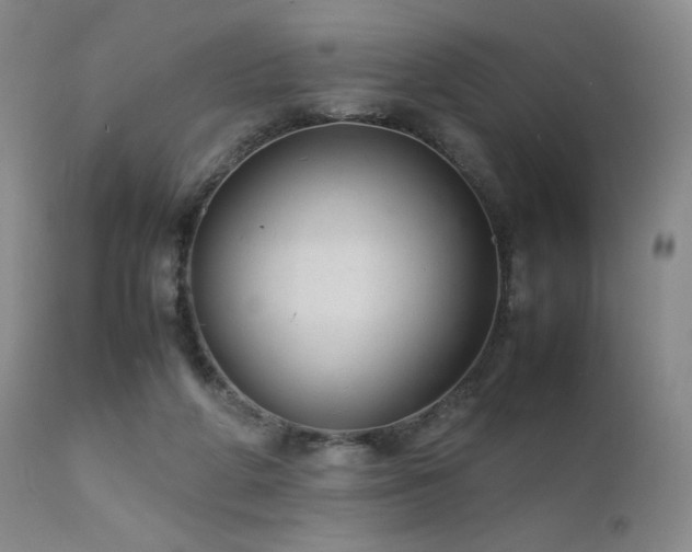 X0000111920210200907271257