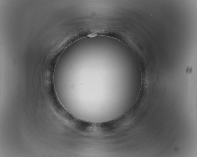 X0000111920211200907271257