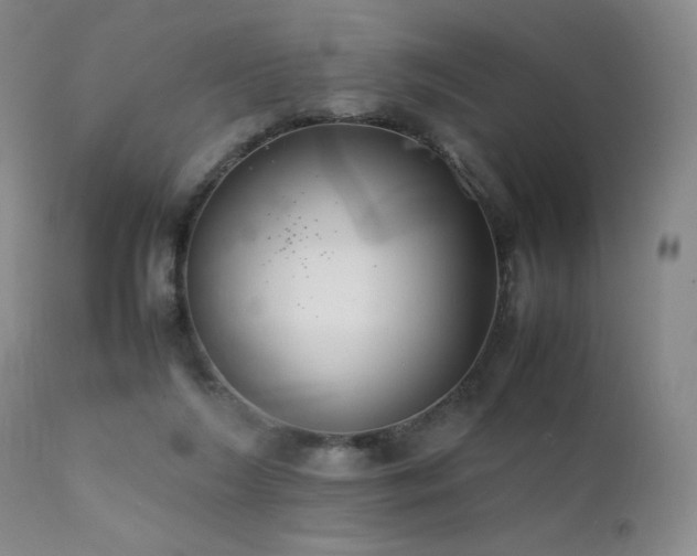 X0000111920212200907271257