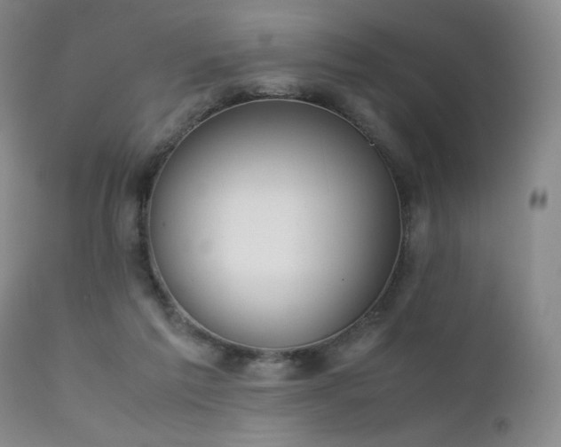 X0000111920213200907271257