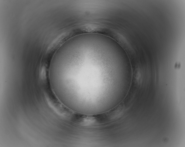 X0000111920214200907271257