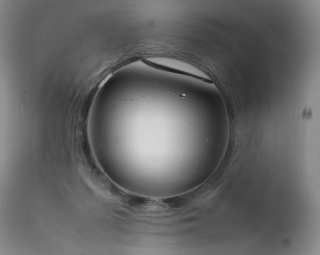 X0000111920215200907271257