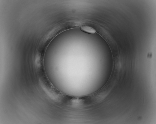 X0000111920216200907271257
