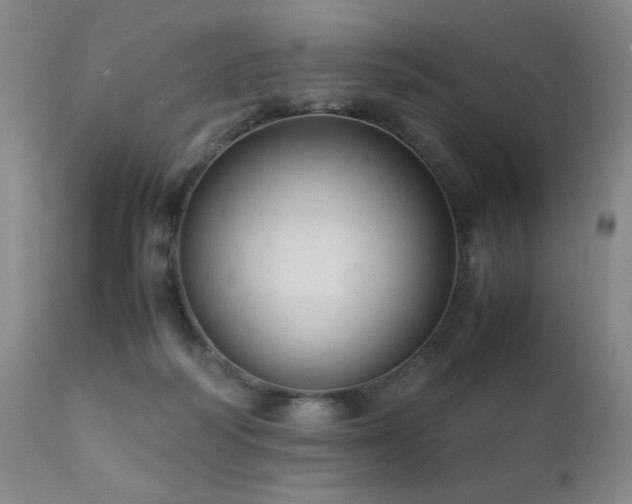 X0000111920218200907271257