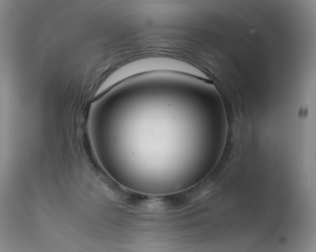 X0000111920219200907271257