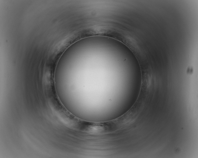 X0000111920220200907271257