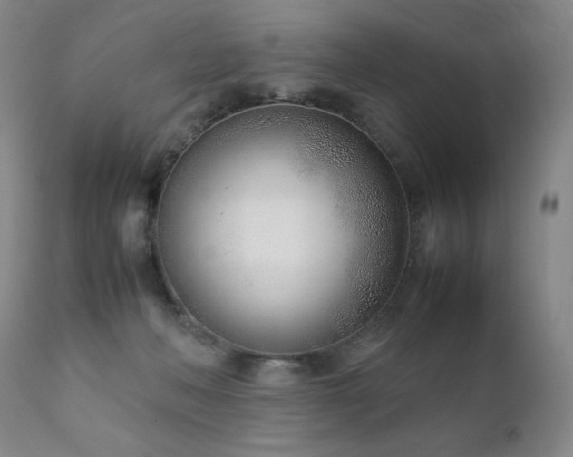 X0000111920222200907271257
