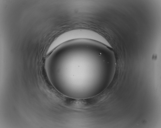 X0000111920223200907271257