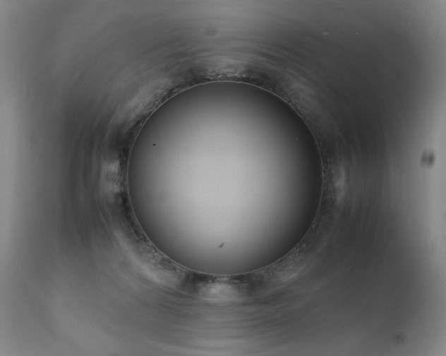 X0000111920224200907271257