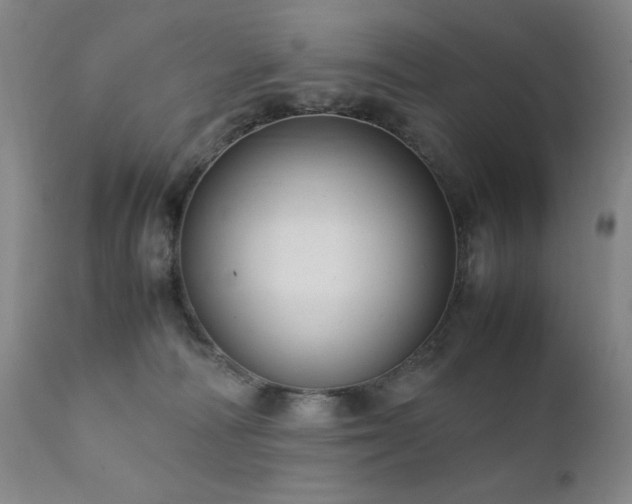 X0000111920226200907271257