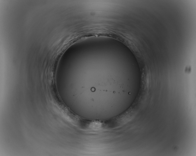 X0000111920227200907271257
