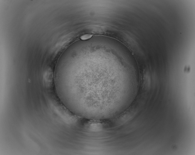 X0000111920228200907271257