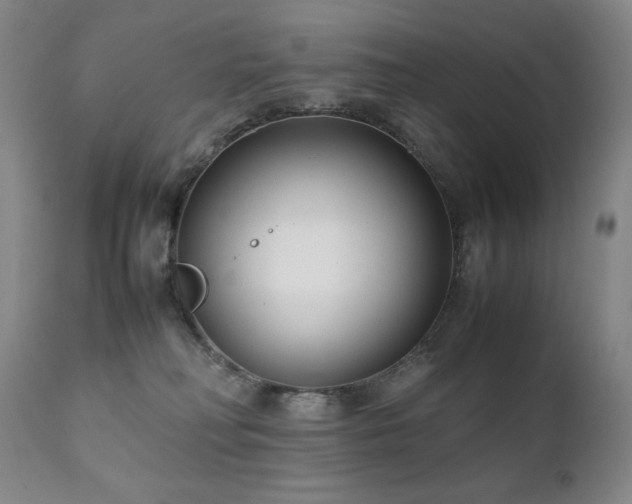 X0000111920230200907271257