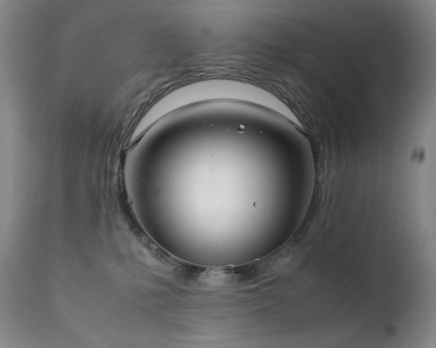 X0000111920231200907271257