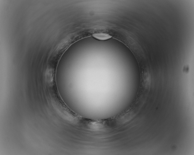 X0000111920232200907271257