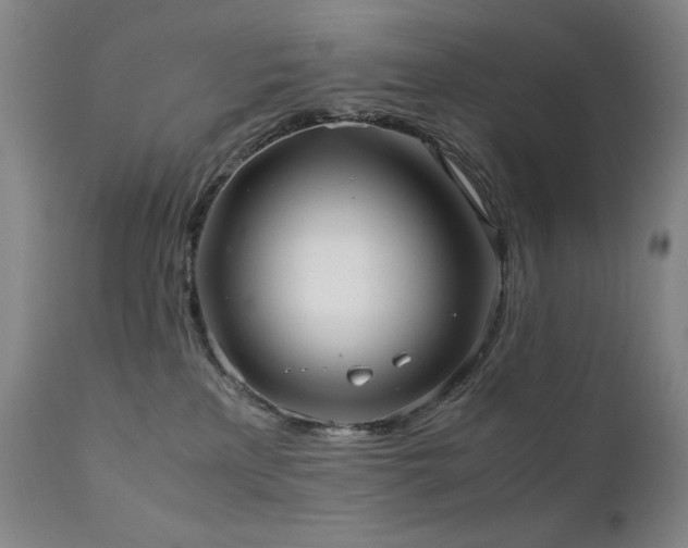 X0000111920233200907271257
