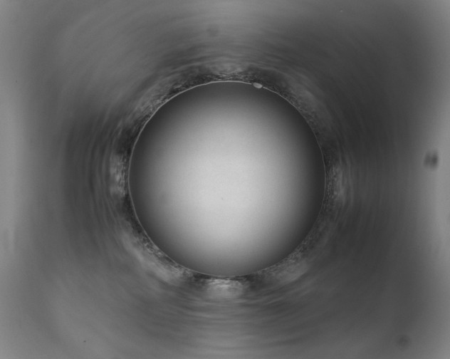 X0000111920234200907271257