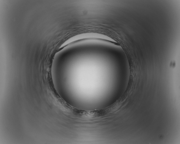 X0000111920235200907271257