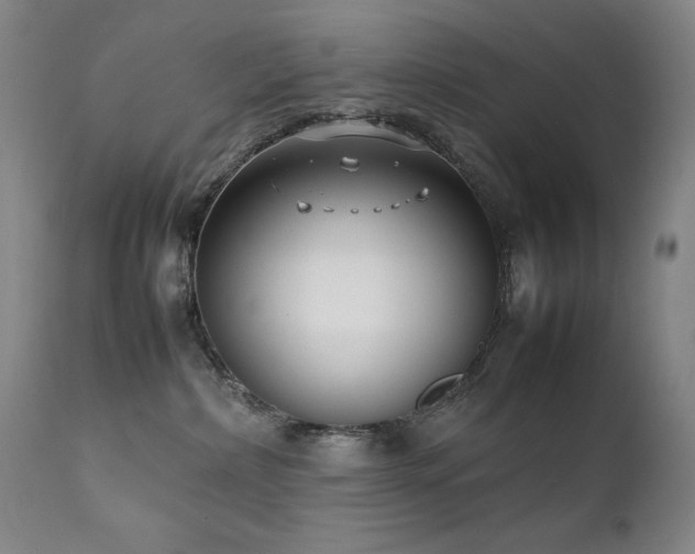 X0000111920236200907271256