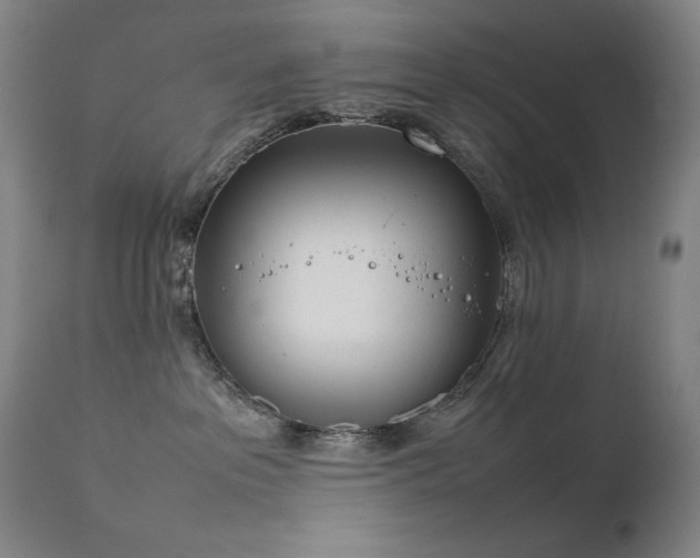 X0000111920237200907271256