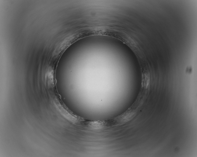 X0000111920238200907271256