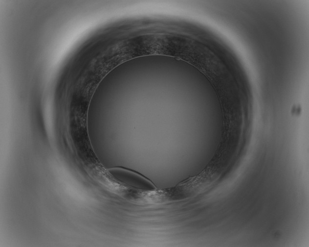 X0000111920239200907271256