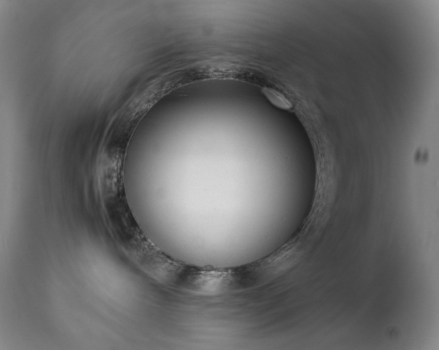 X0000111920240200907271256