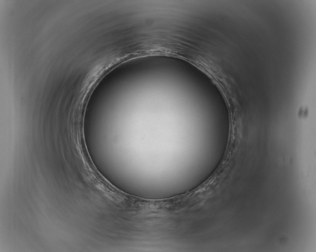 X0000111920241200907271255