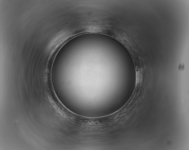 X0000111920243200907271256