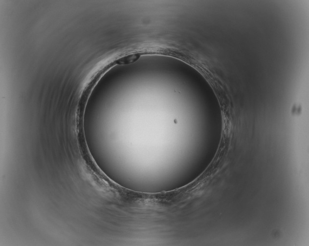 X0000111920244200907271256