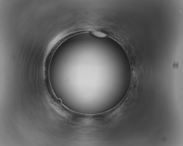 X0000111920246200907271256