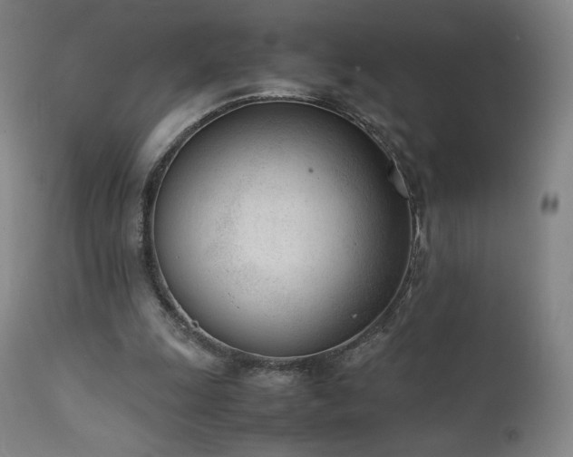 X0000111920247200907271256