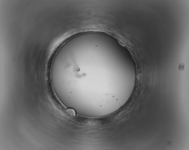 X0000111920248200907271256