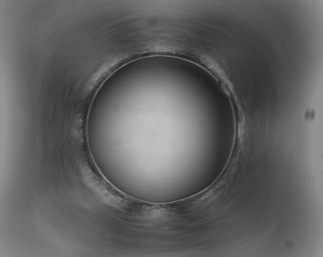 X0000111920249200907271256