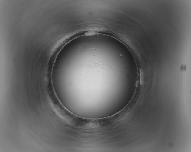 X0000111920252200907271256