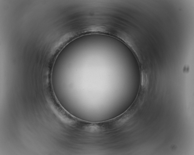 X0000111920253200907271256