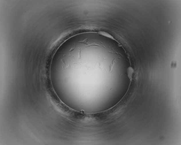X0000111920256200907271256