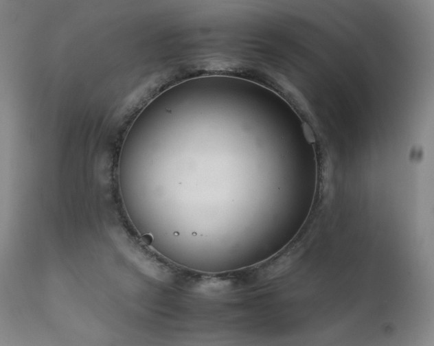 X0000111920257200907271256