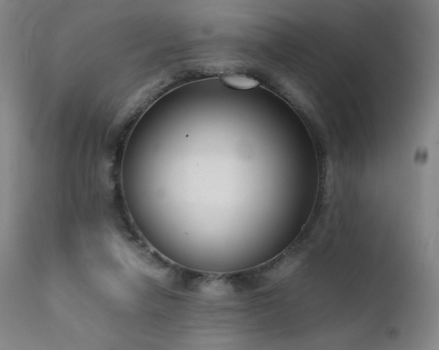 X0000111920258200907271256