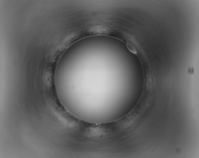 X0000111920259200907271256