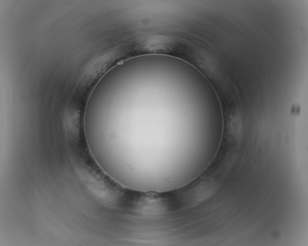 X0000111920260200907271256