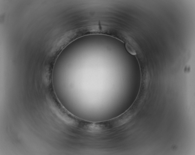 X0000111920261200907271256