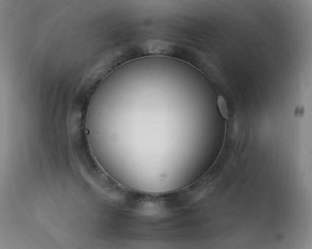X0000111920263200907271256