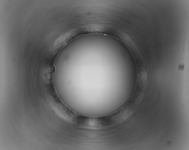 X0000111920264200907271256
