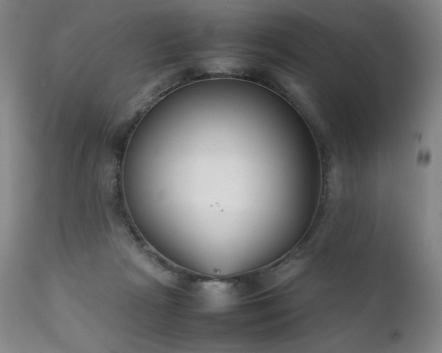 X0000111920265200907271256