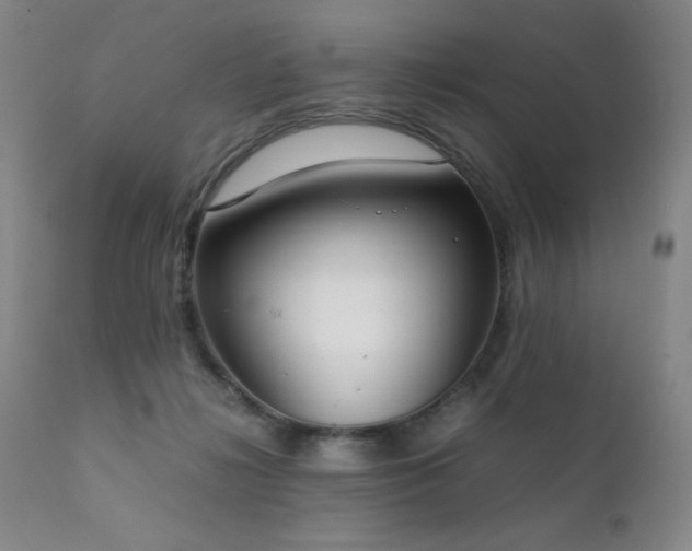 X0000111920268200907271256